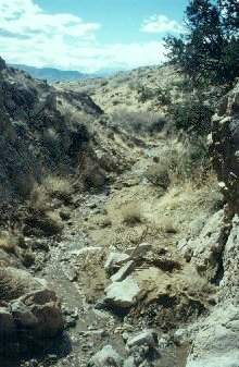 Heliotrope Falls